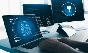 Why Network Security is Paramount: